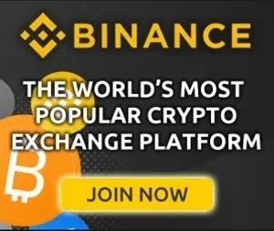 Bnc 300x250