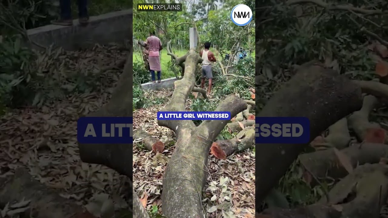 Chhattisgarh: Save Hasdeo | Coal Mining | Tree Cutting |