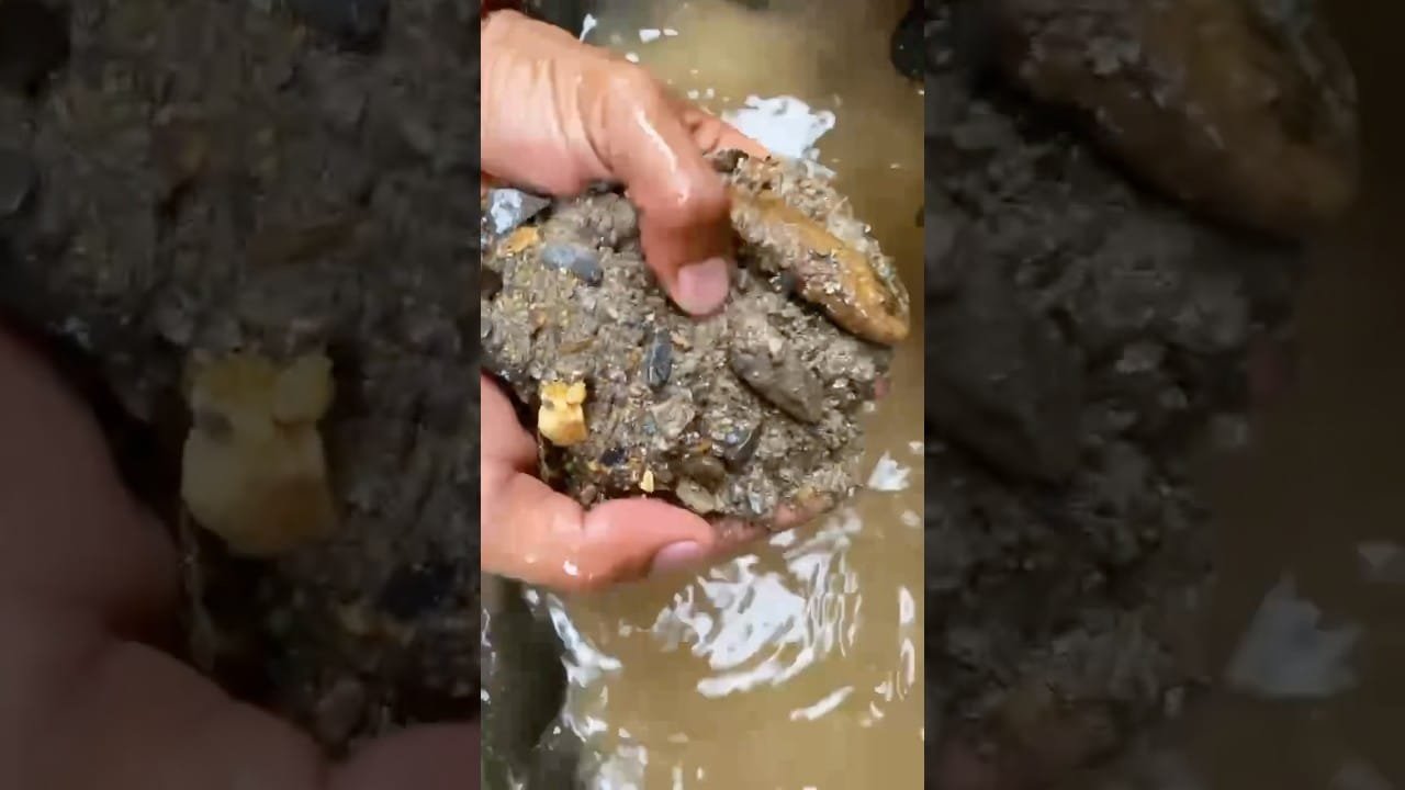 Finding Gold In Sand, Gold Prospecting For Beginners. #goldprospecting #goldproject