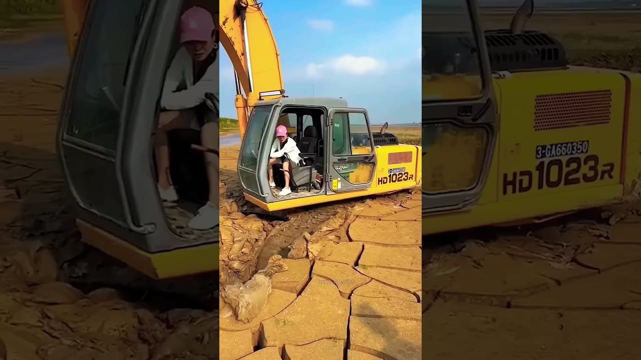 How Is Made Cement #excavator #mining #facts #news #construction #shortsfeed