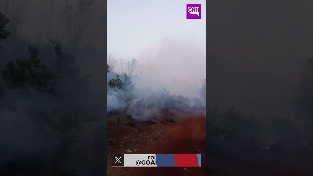 Fire Breaks Out At Cashew Plantation Near Dmc Mines, Pissurlem