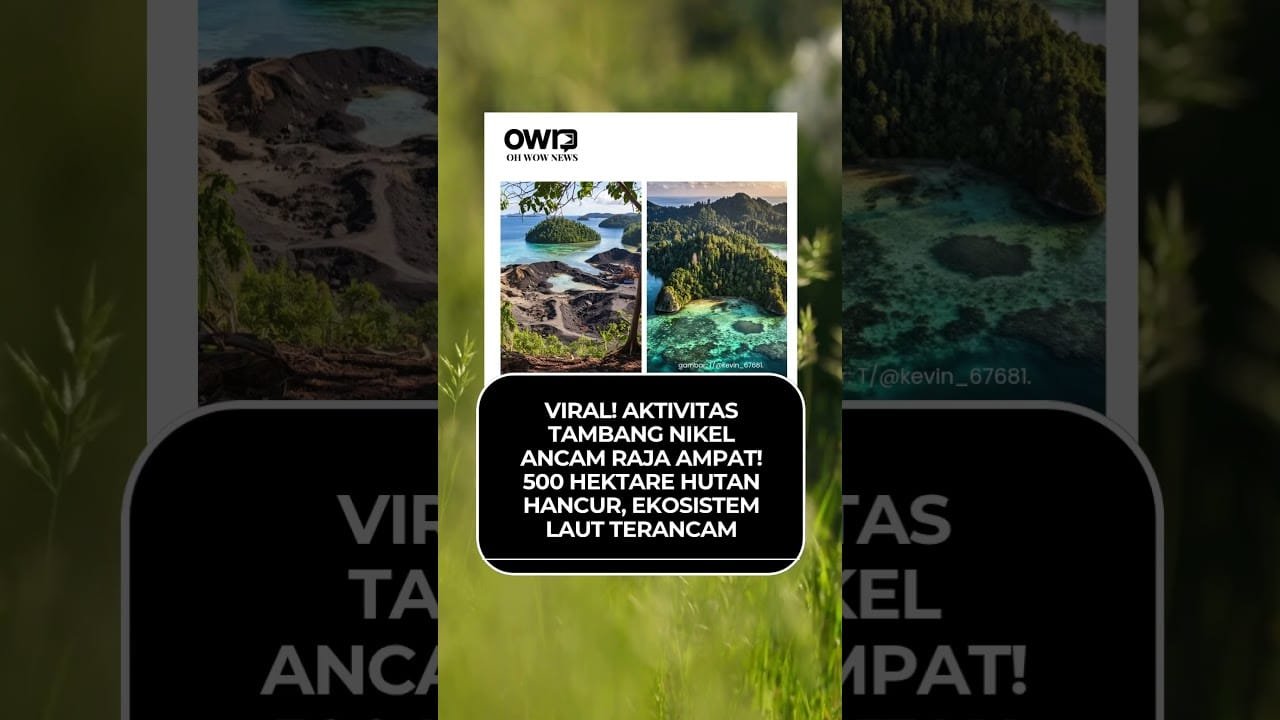 Waduh! Aktivis Tambang Nikel Ancam Ekosistem Raja Ampat!! #news