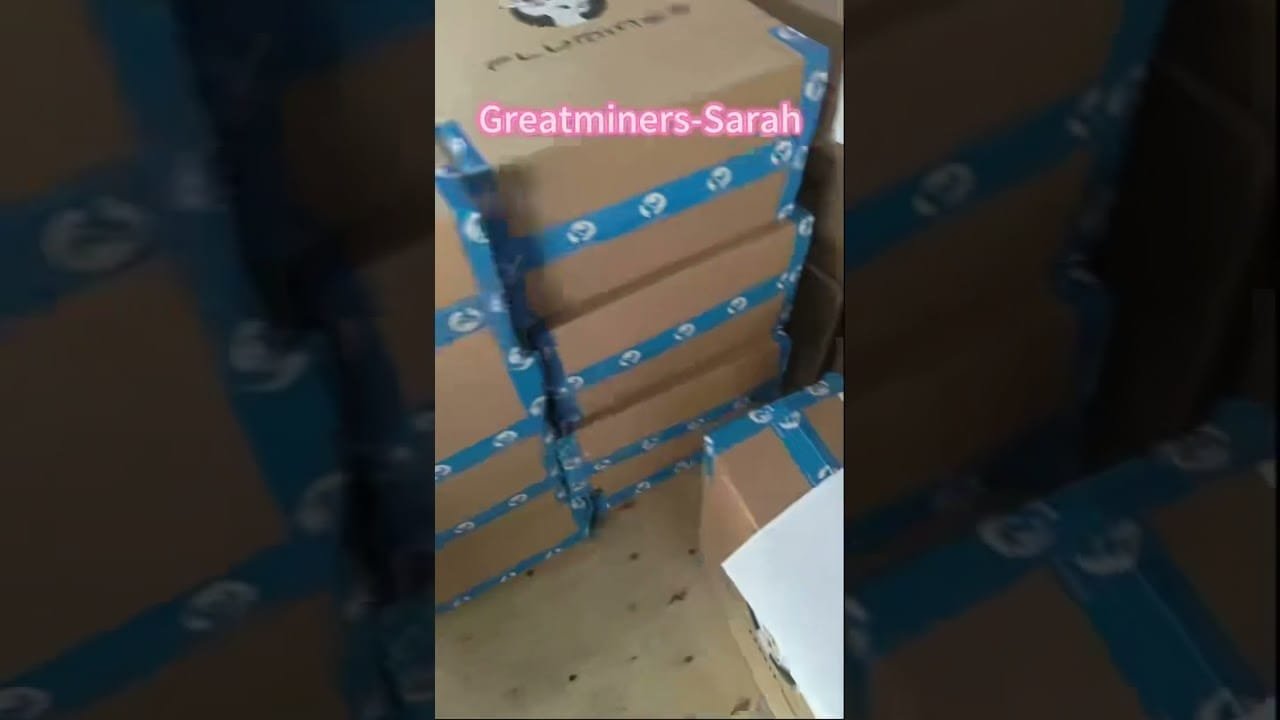 Fluminer L1pro 6g #asicminer #cryptomining #cryptominingforbeginners #homemining #ltc #dogecoin