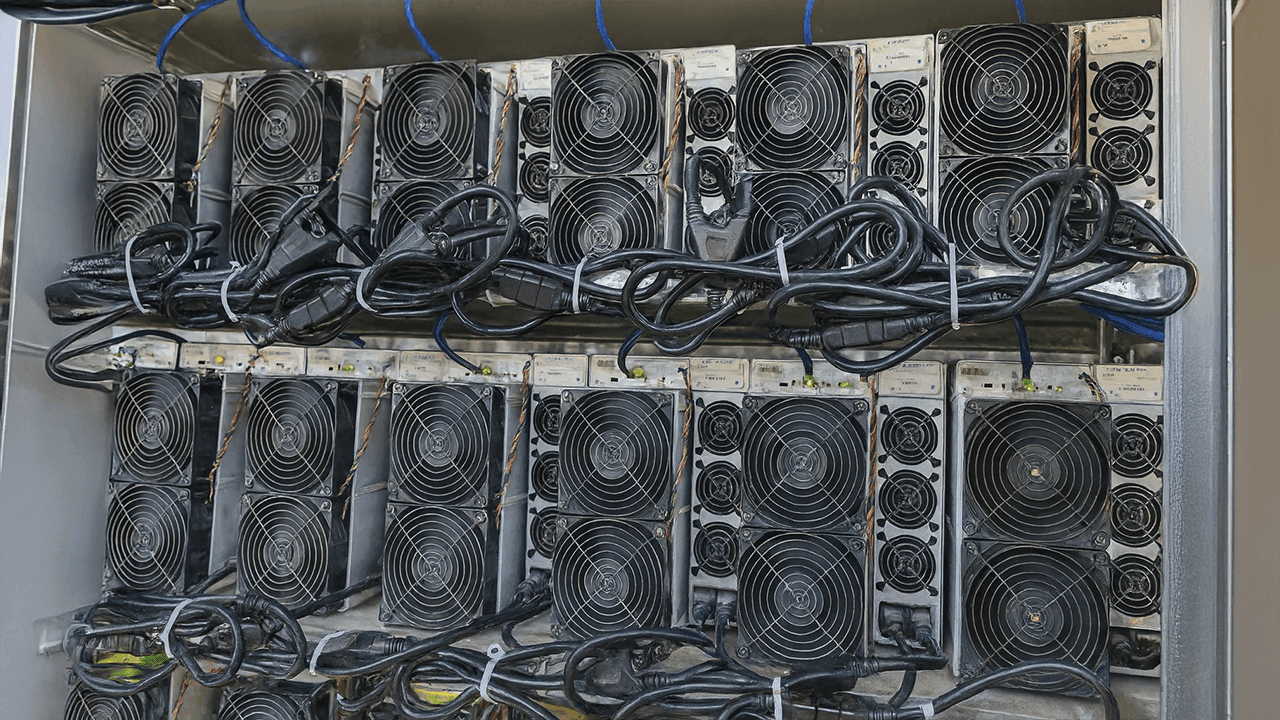 Inside the Powerhouse: The 50 Most Profitable Bitcoin Miners, Aug. 9-10, 2025