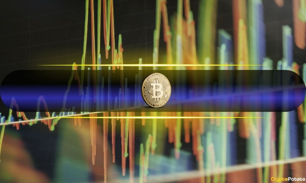 LTH Stability vs. STH Aggression Driving Bitcoin Market Volatility