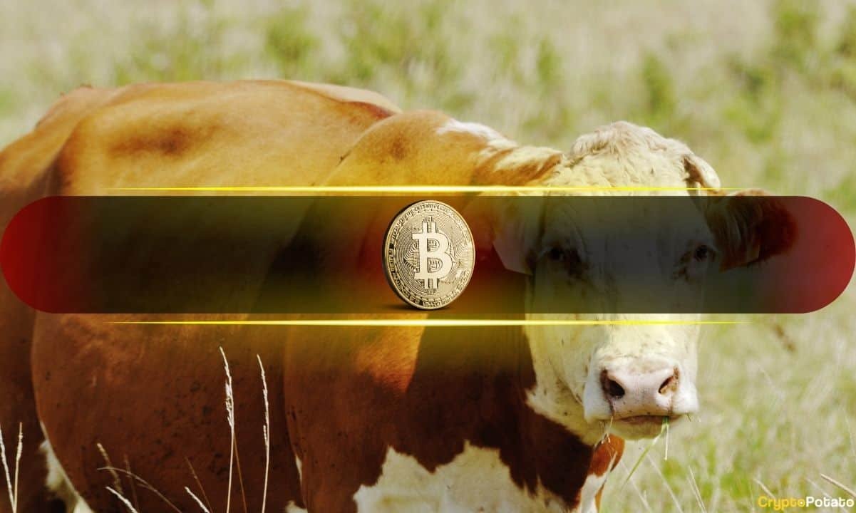 Rising Liquidity Pushes Bitcoin Into Bullish Consolidation
