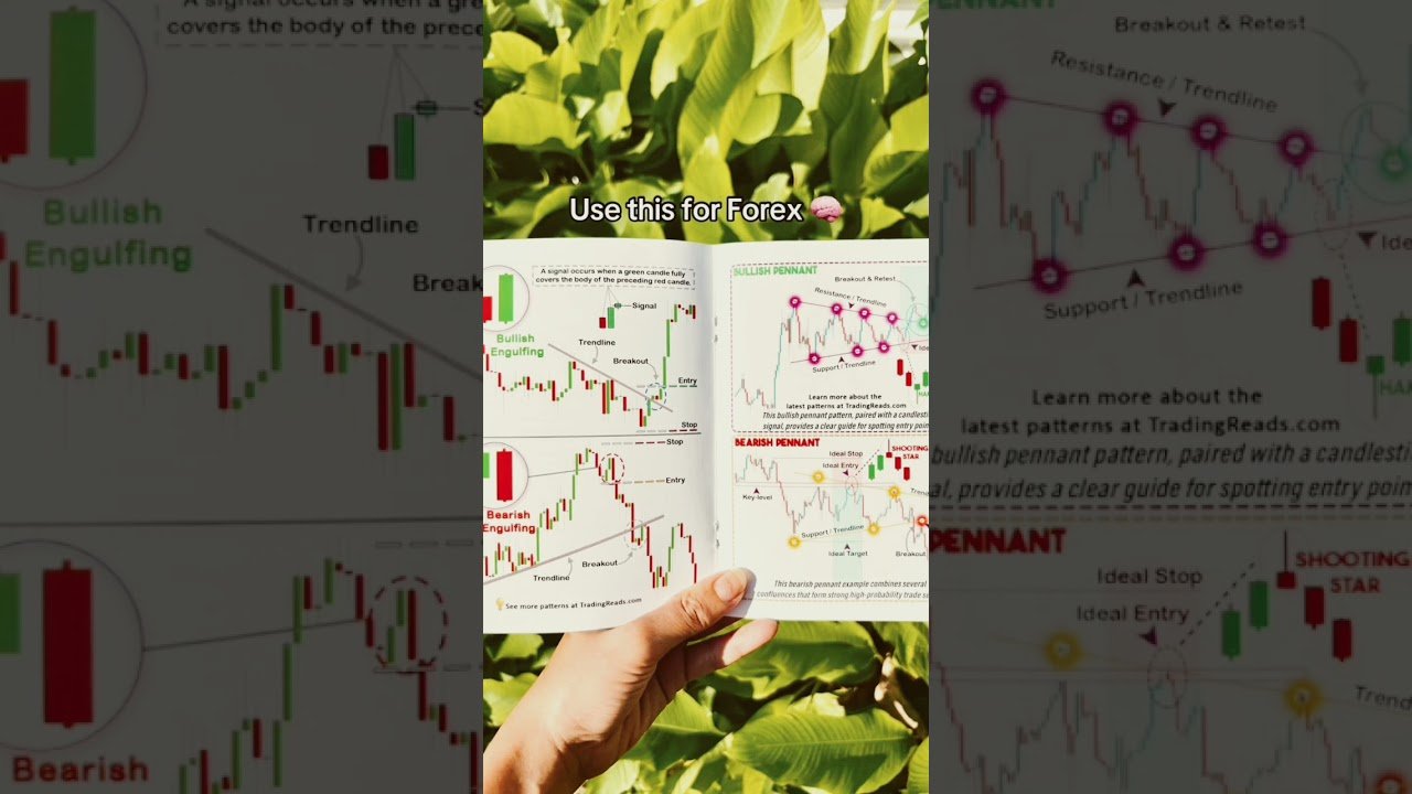 Trading Ebook Guide For Beginners Like You Struggling To Start