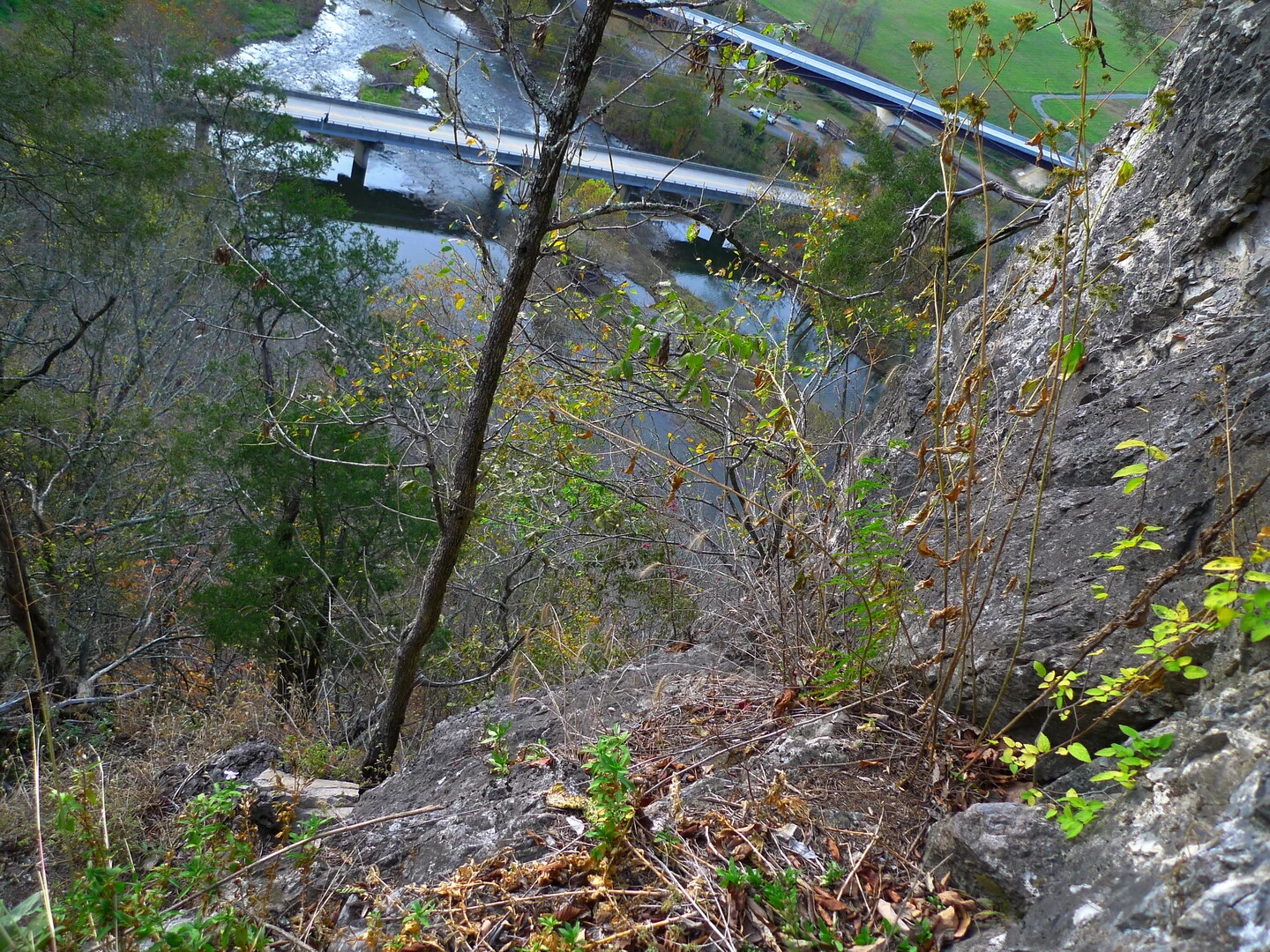 50,000 Copilot licences for Indian service companies