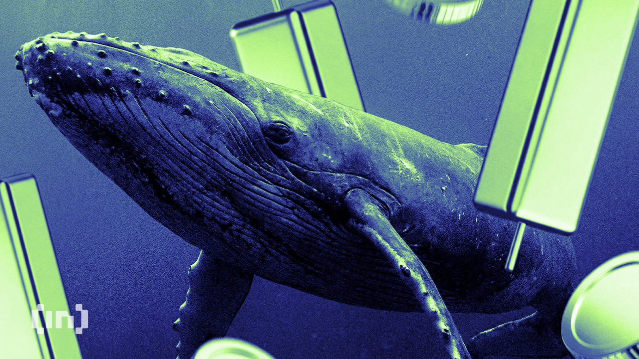 3 Altcoins Crypto Whales are Buying For February 2026