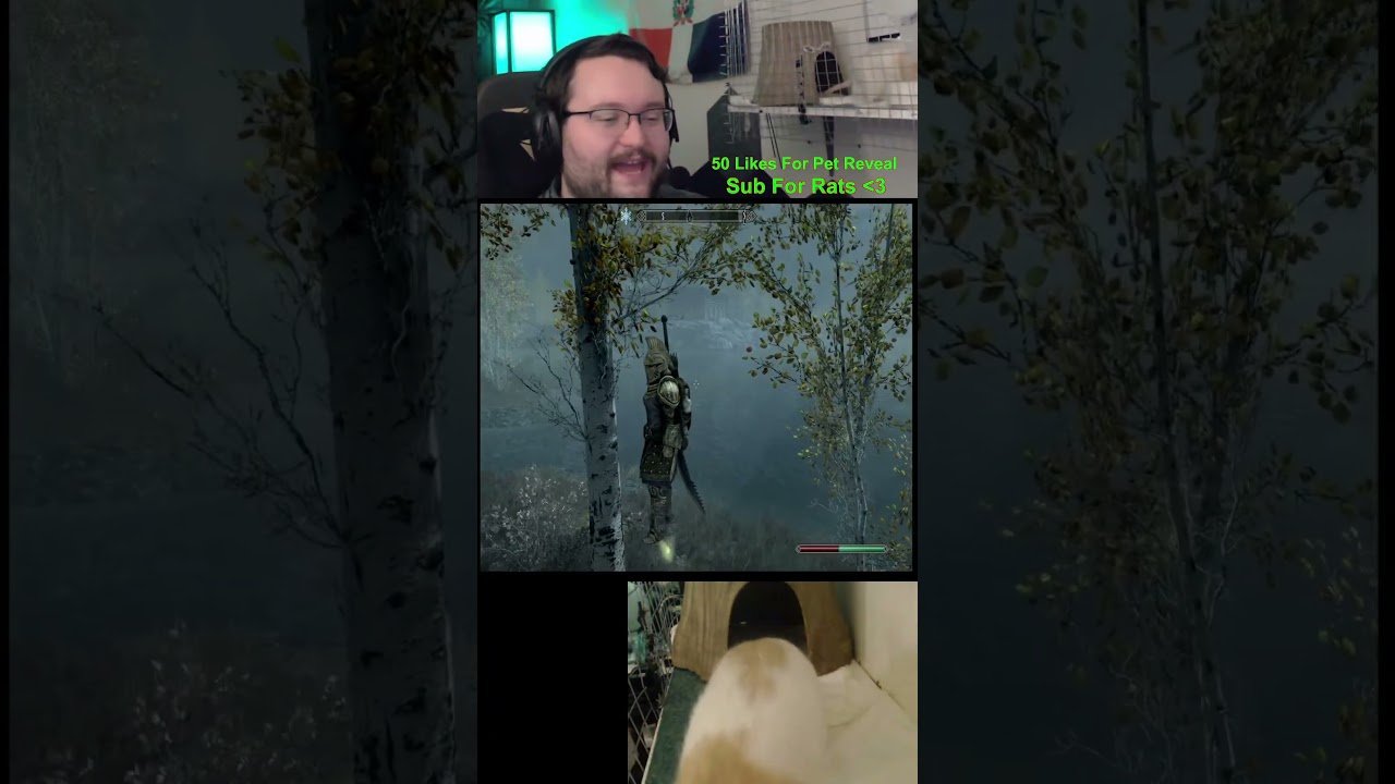 Dragonborn On Da Bee Part 125 #skyrim #gaming #crypto #news