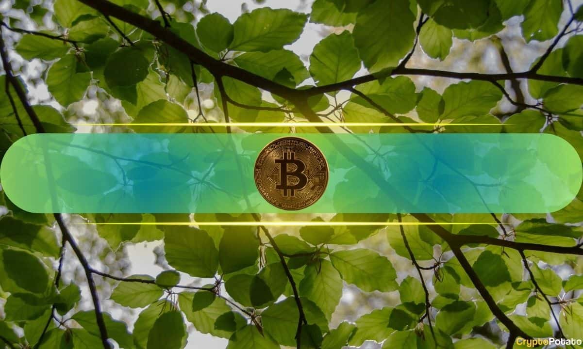 BSC Fees Hit Multi-Month Lows as History Signals Bitcoin Rebound Ahead