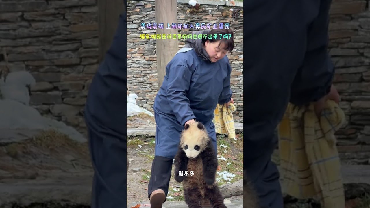 Jia Mei Joins Ao Shi Mining Group: The New Star