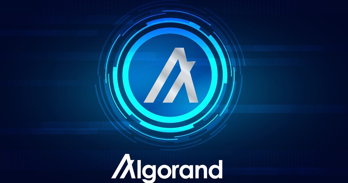 Troubleshooting x402 Endpoints on Algorand (ALGO) Leaderboard