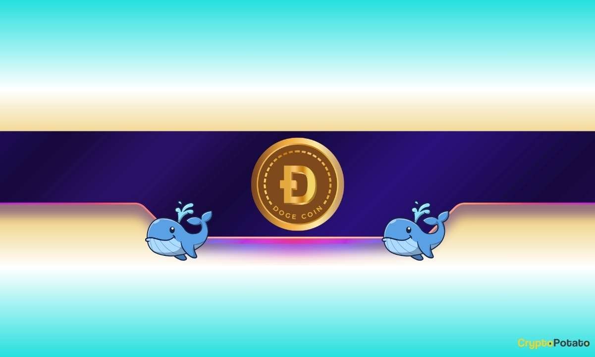 Where Is Dogecoin Headed Next?