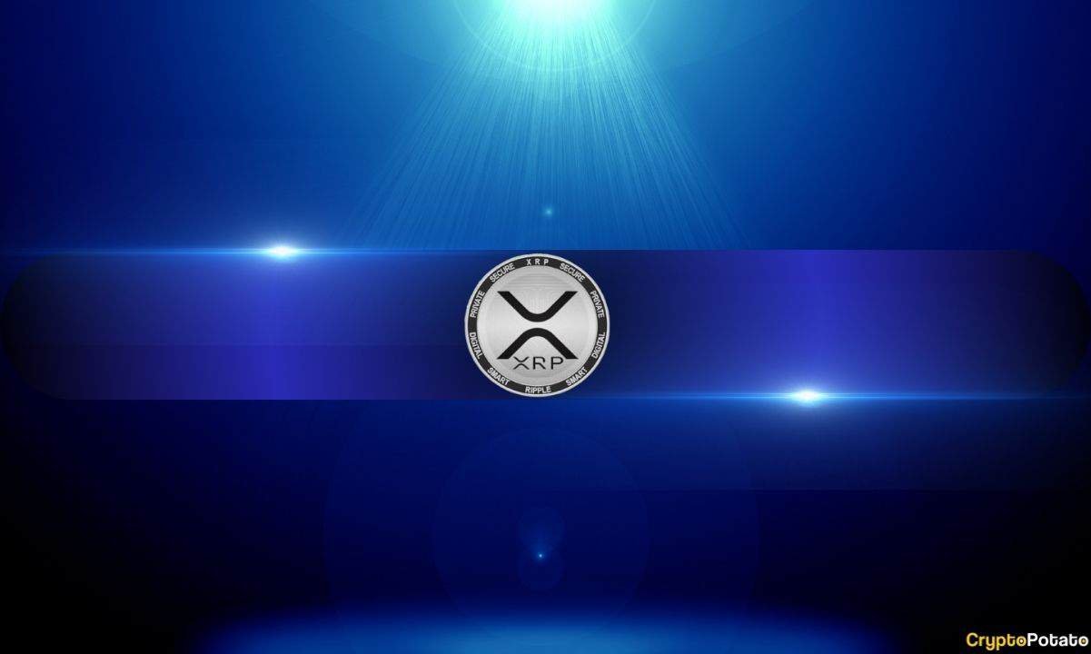 XRP and DOGE Look Undervalued by MVRV Measures, but Will Traders Take Notice?